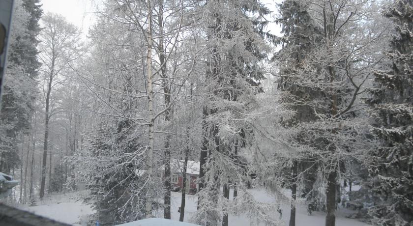 Neitsytniemen Kartano Bed and Breakfast Imatra Habitación foto